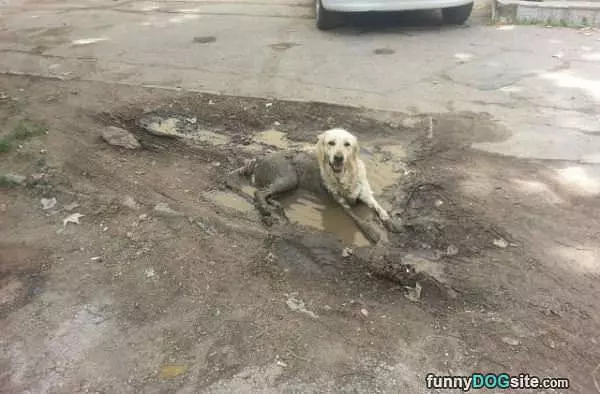Taking A Little Mud Bath