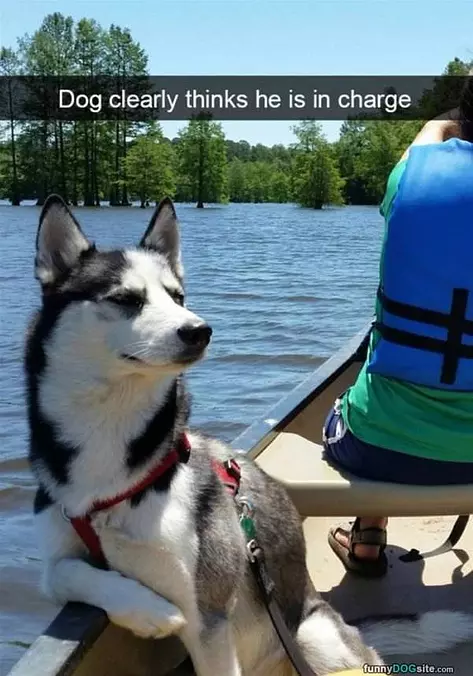 I Am In Charge Here