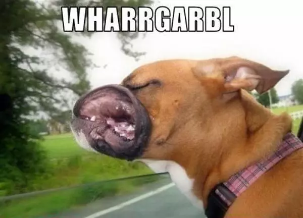 Whargarble