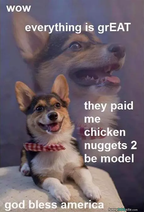 Everything Is Great
