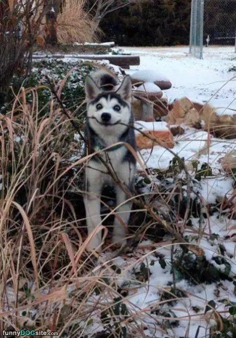 This Stick Makes Me Happy
