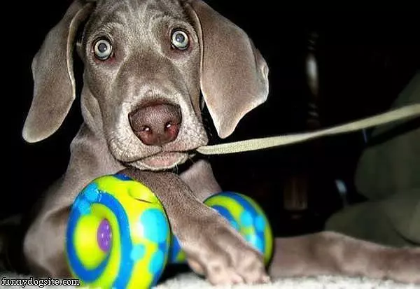 Lets Play