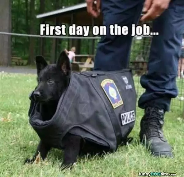 First Day On The Job