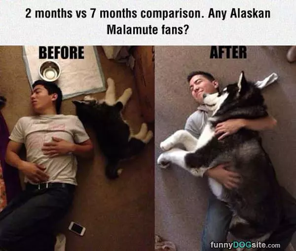 2 Months Vs 7 Months