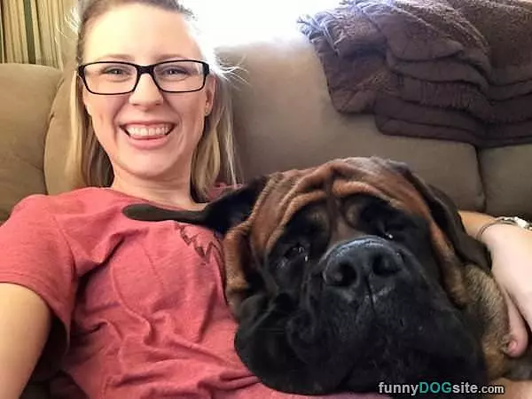 Big Lap Dog