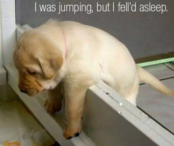 I Was Jumping