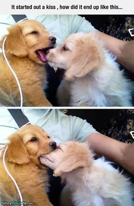 Started Out As A Kiss