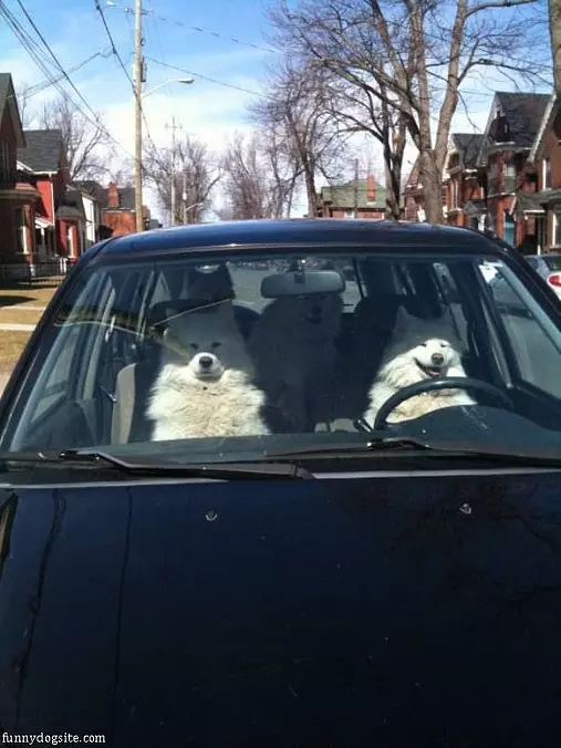 Ready For A Drive