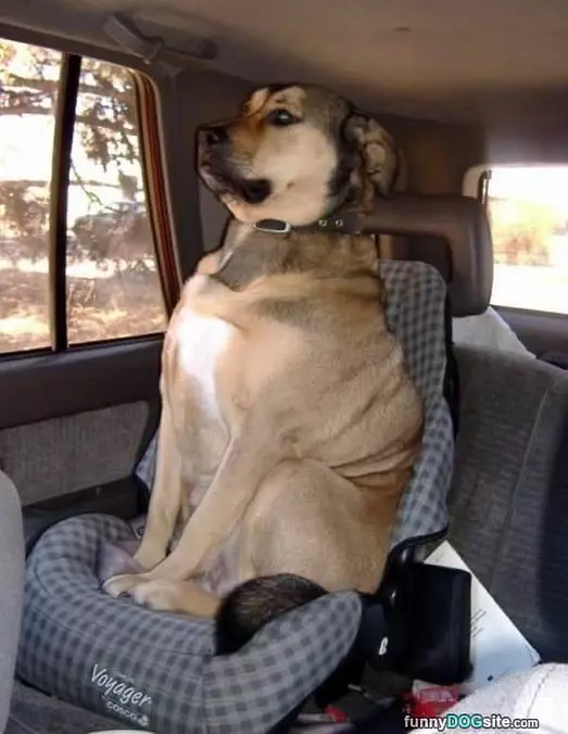 How I Ride