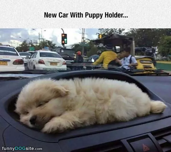 New Car With Puppy Holder