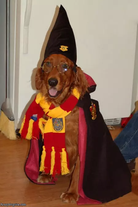 I Am A Wizard