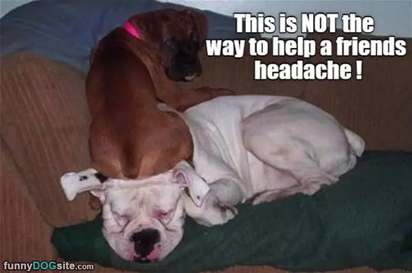 Helping With A Headache
