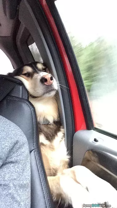 I Want To Sit In The Front