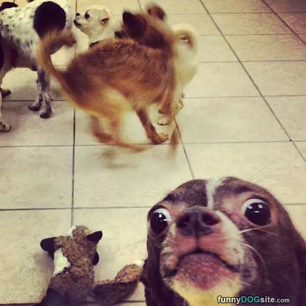 Extreme Closeup
