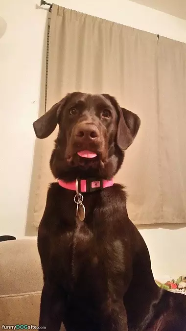 Pfffffft