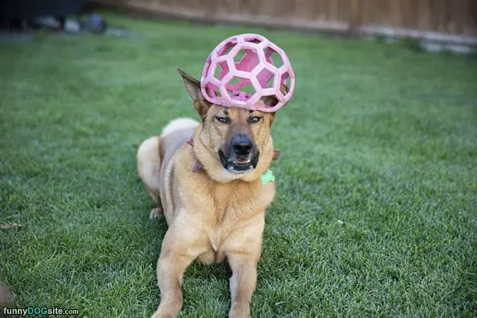 Nice Hat