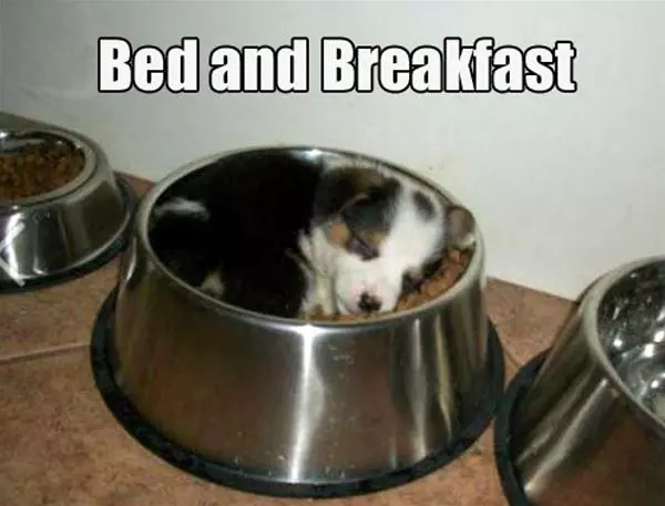 Bed And Breakfast