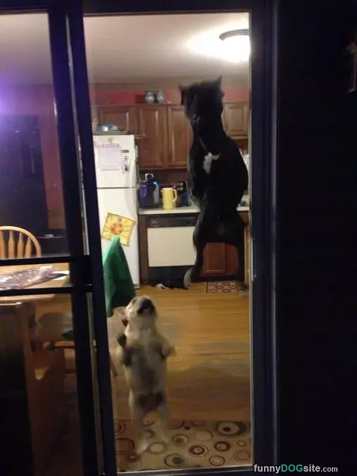High Jumper