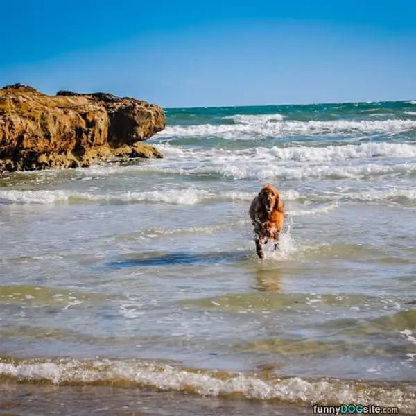 Day At The Beach
