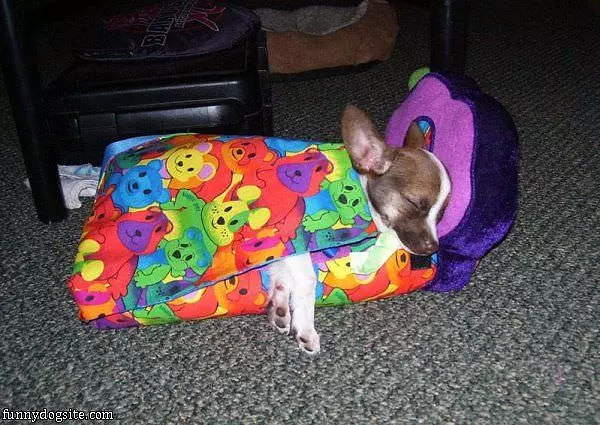 My Warm Bed