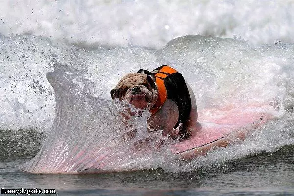 Surfer