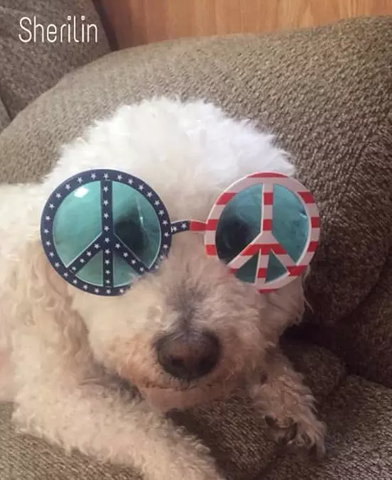 Peace