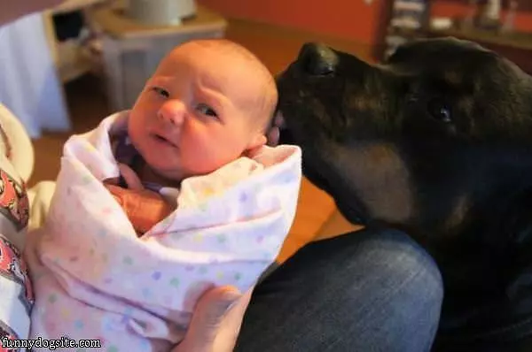 This Baby Is Yummy