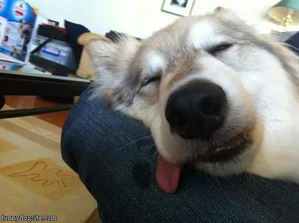 So Passed Out