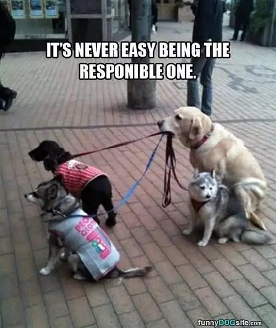 Never-easy