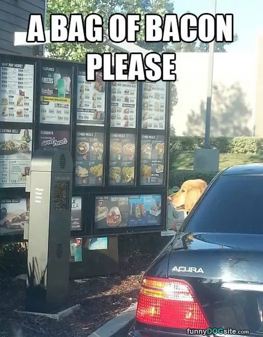 Special Order