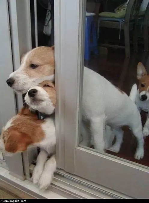 Let Us Out