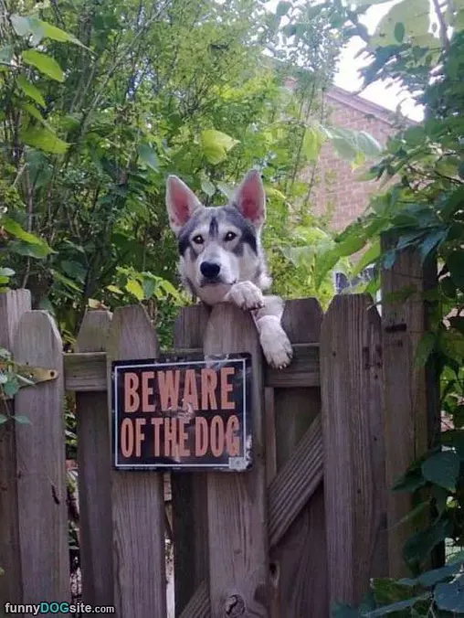 Up Over The Fence