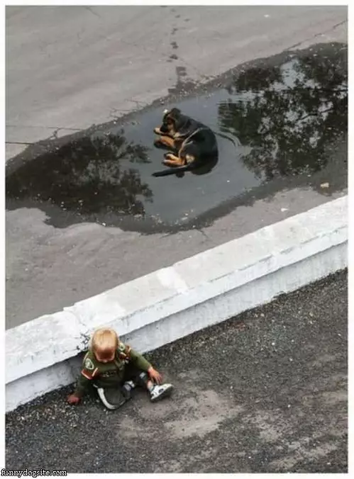 Loves Puddles