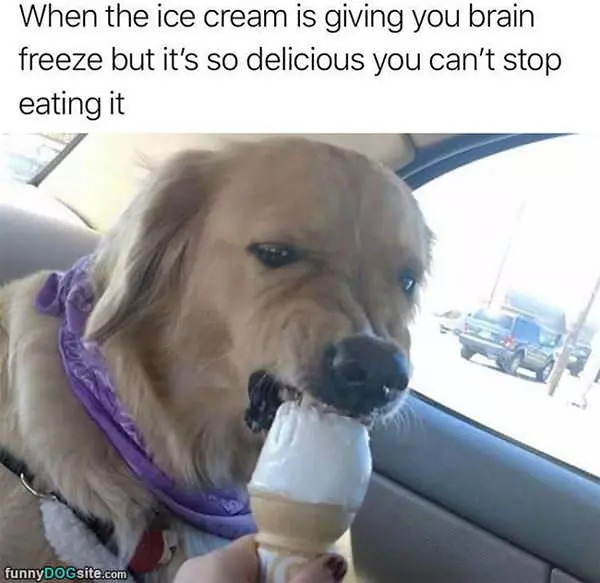 Cannot Stop Eating