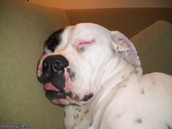 So So Tired