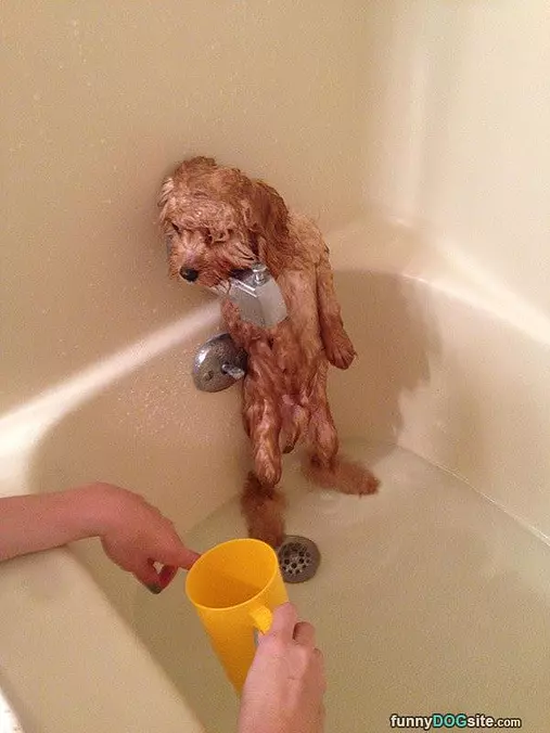 I Dont Like This Bath