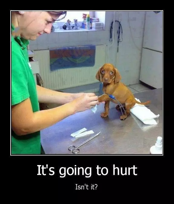 Going To Hurt