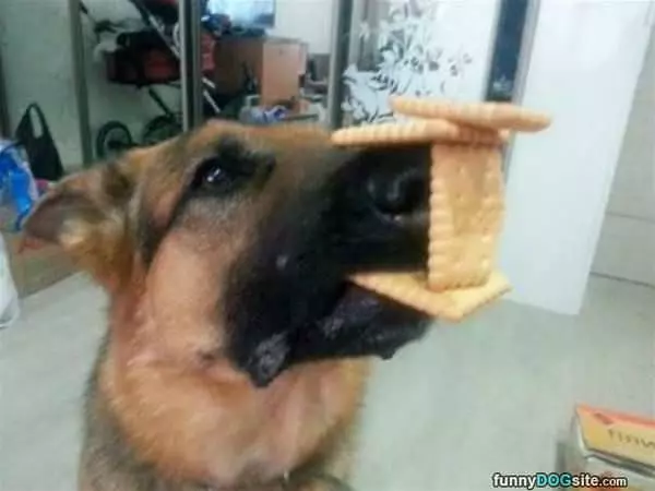 Cracker Stacking