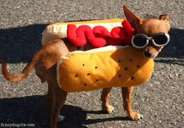 Im A Hot Dog