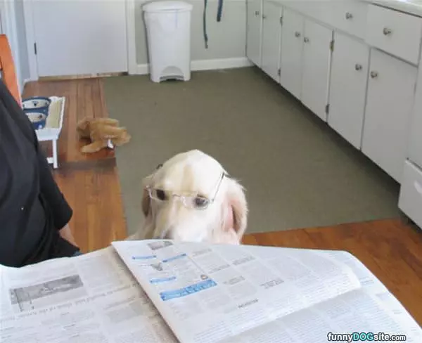 Max Reading The Paper