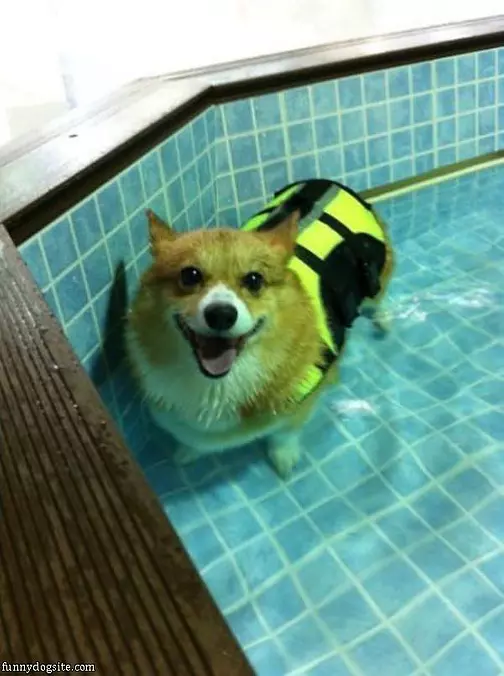 Relaxing In The Pool
