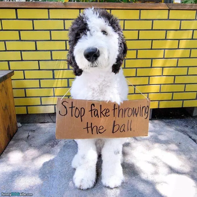 Please Stop It