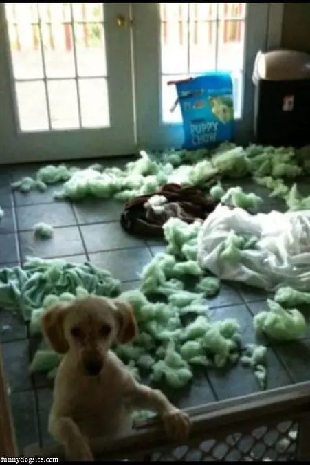 Made A Little Mess