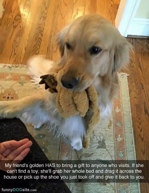 Gifts From The Golden