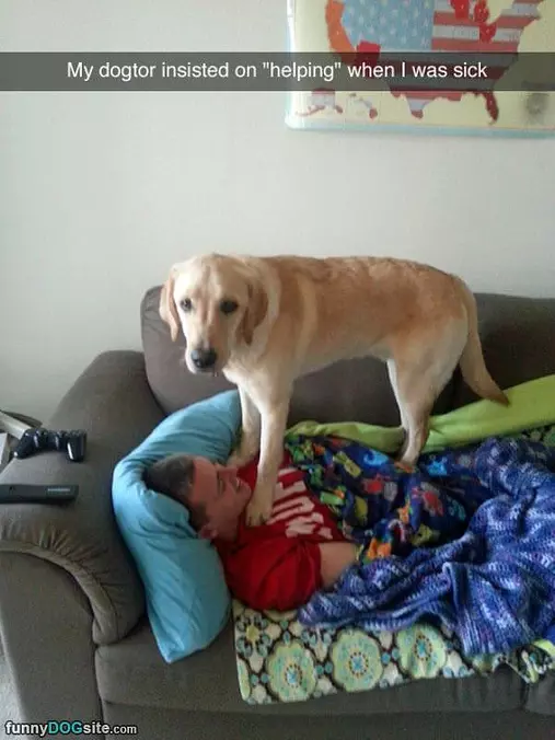 My Dogtor
