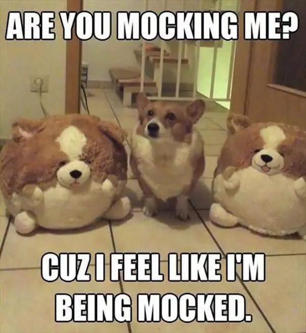 Are You Mocking Me