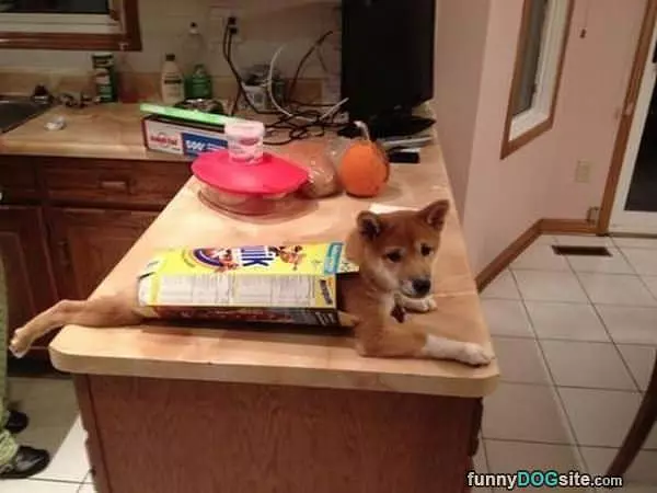 I Dont Quite Fit
