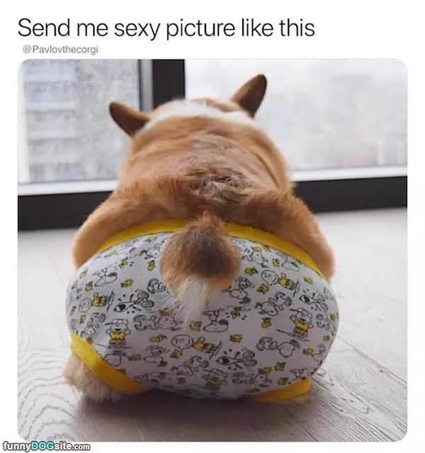 Send Me Sexy Pictures