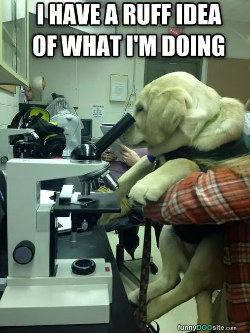 A Ruff Idea