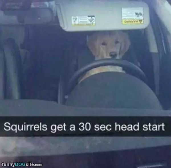 They Get A Head Start
